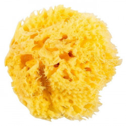 Натуральна губка для ванни Okbaby Honeycomb sea sponge