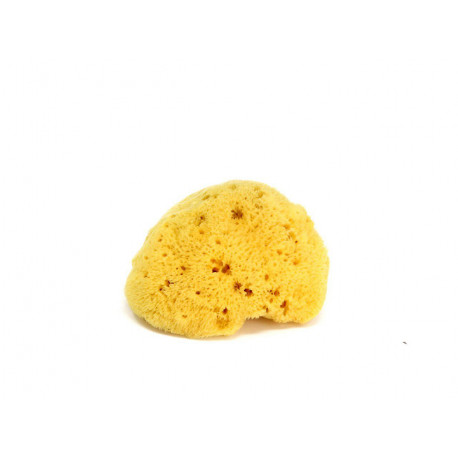 Натуральна губка для ванни Okbaby Honeycomb sea sponge