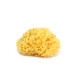 Натуральна губка для ванни Okbaby Silk Fine sea sponge