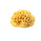 Натуральна губка для ванни Okbaby Silk Fine sea sponge