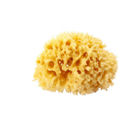Натуральна губка для ванни Okbaby Silk Fine sea sponge