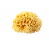 Натуральная губка для ванны Okbaby Silk Fine sea sponge