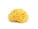 Натуральна губка для ванни Okbaby Silk Fine sea sponge 38481400 фото