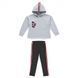 Комплект (светр з капюшоном+легінси) Active для дівчинки D.W085.00/8992/16A фото