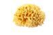 Натуральна губка для ванни Okbaby Silk Fine sea sponge 38481600 фото