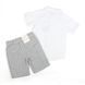 Комплект для хлопчика Babybol сорочка короткий рукав шорти 18290/grey/24m фото 2