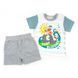 Комплект для хлопчика Babybol футболка шорти 18205/grey/12m фото 1