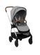 Прогулочная коляска Nuna TRIV ST12000FRTGL фото