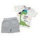 Комплект для хлопчика Babybol футболка шорти 18210/grey/12m фото 1