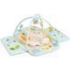 Ігровий килимок Cam Zappeto Gioco Happygym V410/T225 фото 1