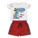 Комплект для хлопчика BabyBol бавовна футболка шорти 10203/red/4A фото 1
