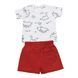 Комплект для хлопчика BabyBol бавовна футболка шорти 10203/red/4A фото 2